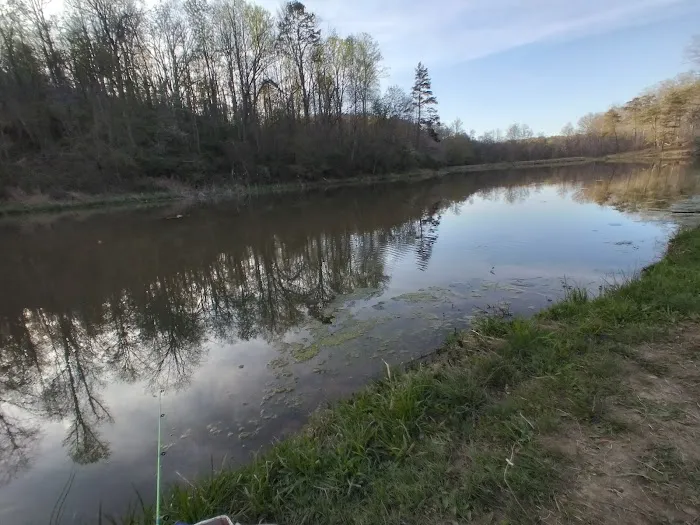 Chief Cornstalk WMA Lake Campground Picture 3