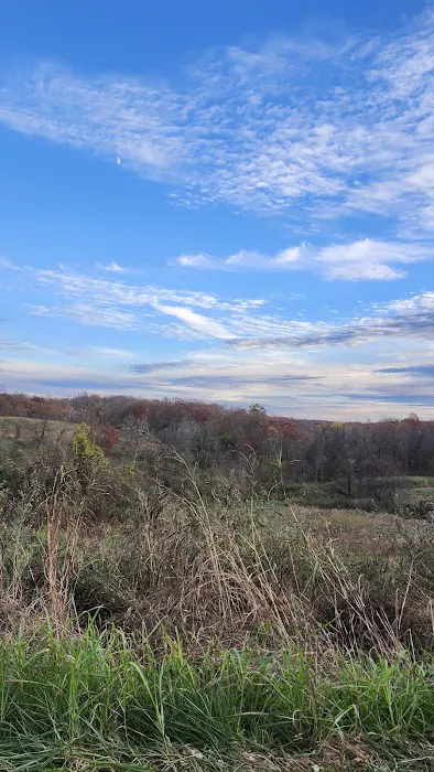 Chief Cornstalk WMA Lake Campground Picture 2