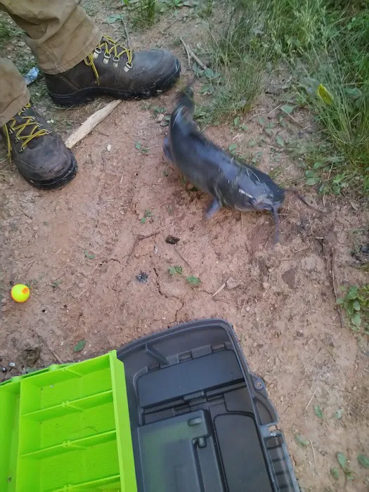 Chief Cornstalk WMA Lake Campground Picture 8