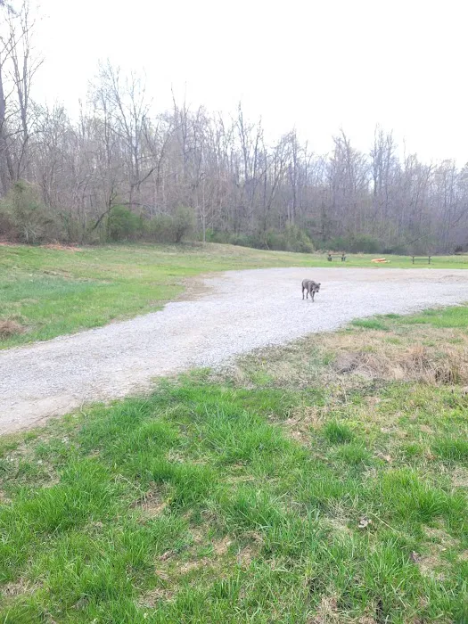 Chief Cornstalk WMA Lake Campground Picture 6