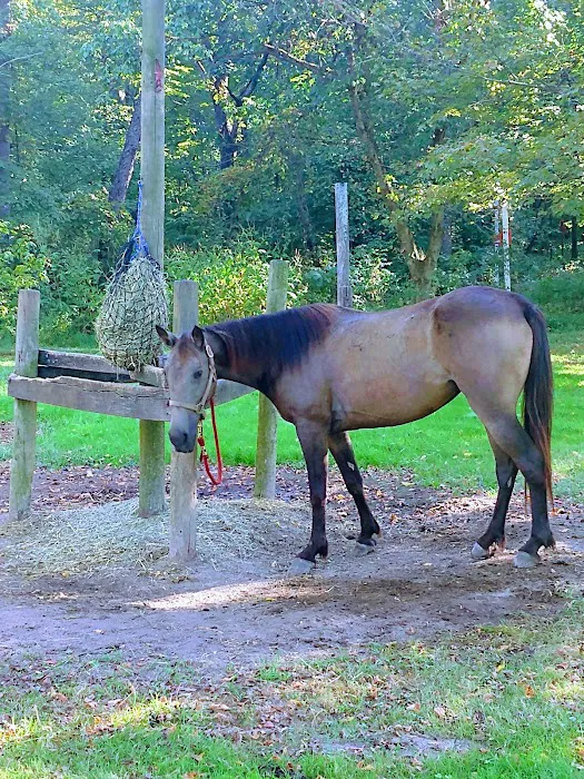 Zaleski State Forest Horse Camp Picture 6