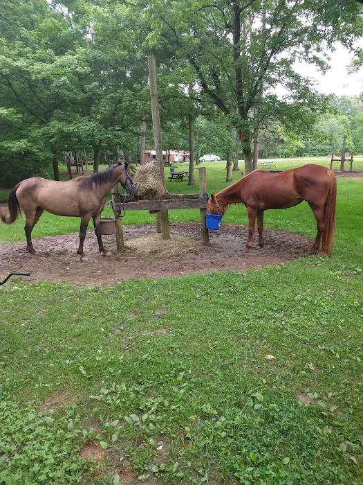 Zaleski State Forest Horse Camp Picture 5