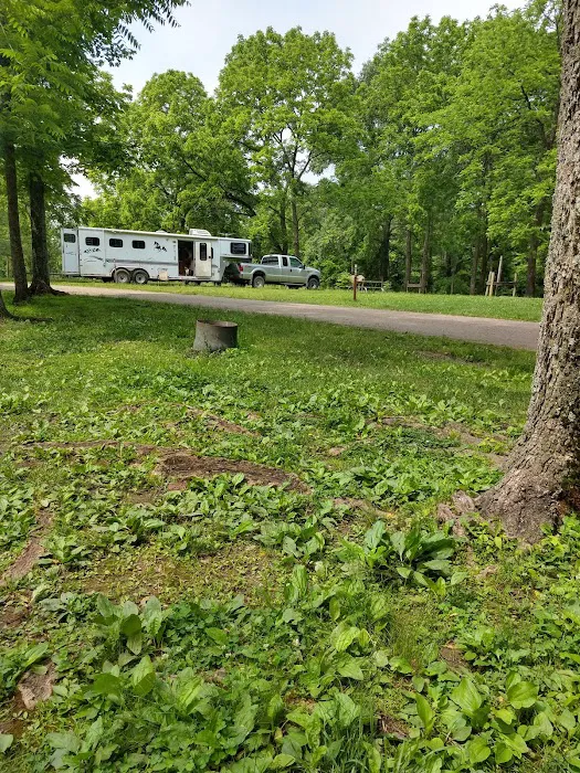 Zaleski State Forest Horse Camp Picture 3