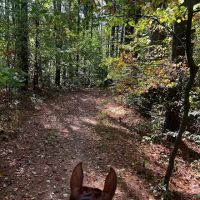 Zaleski State Forest Horse Camp ico