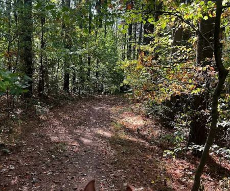 Zaleski State Forest Horse Camp