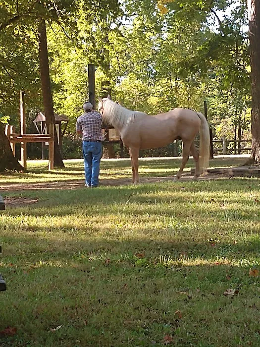 Zaleski State Forest Horse Camp Picture 9