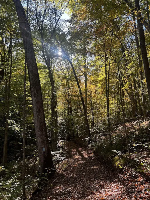 Zaleski State Forest Horse Camp Picture 2