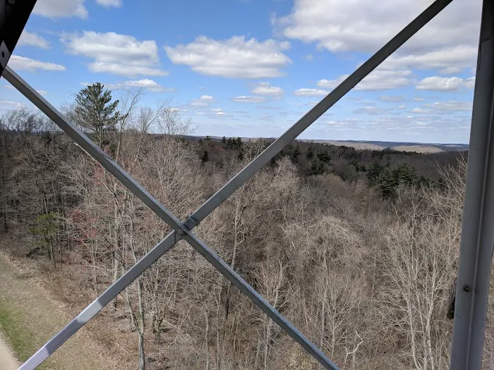 Zaleski State Forest Atkinson Ridge Hunters Camp Picture 3