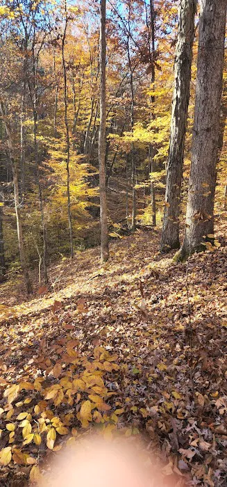 Zaleski State Forest Atkinson Ridge Hunters Camp Picture 2