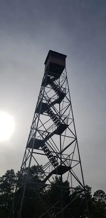 Zaleski State Forest Atkinson Ridge Hunters Camp Picture 9