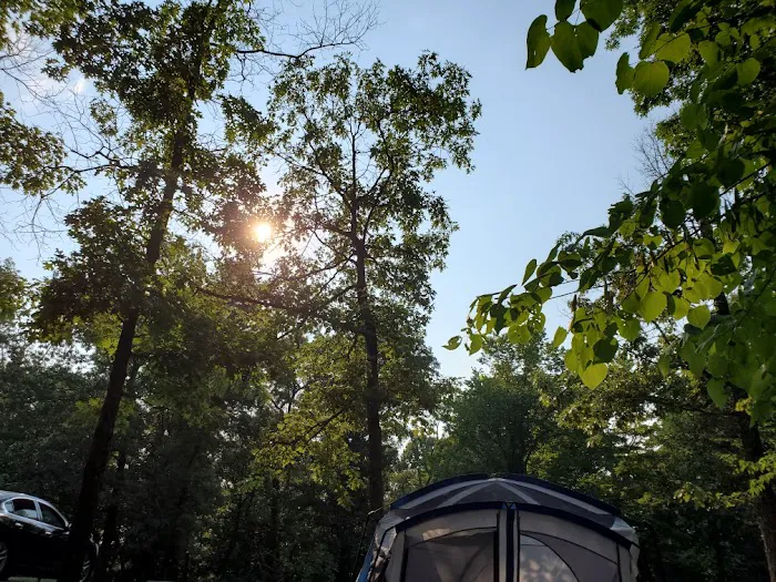 Lake Hope State Park Campground Picture 8