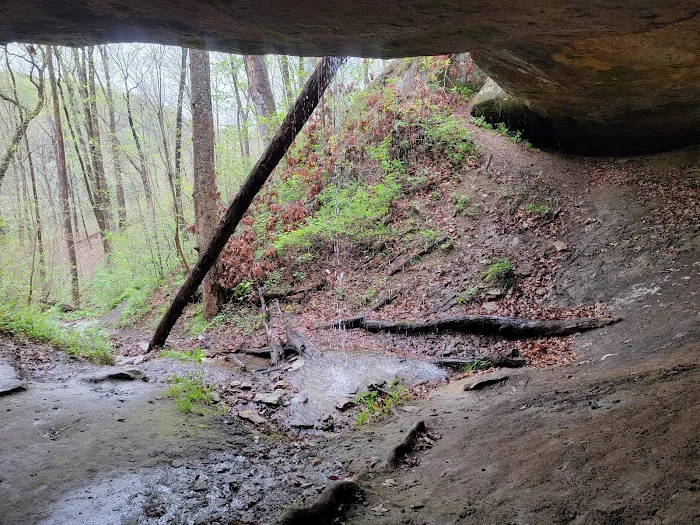 Lake Hope State Park Campground Picture 5