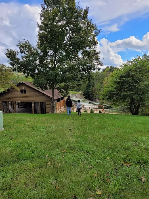 Lake Hope State Park Campground Picture 6