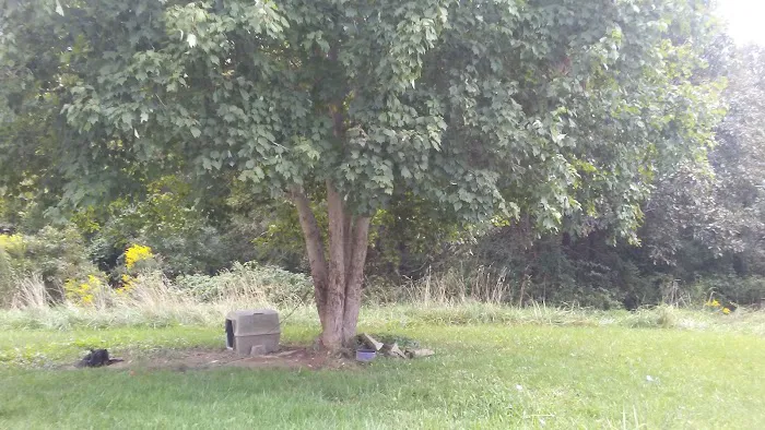 Vinton Furnace State Forest Hunters Camp Picture 9