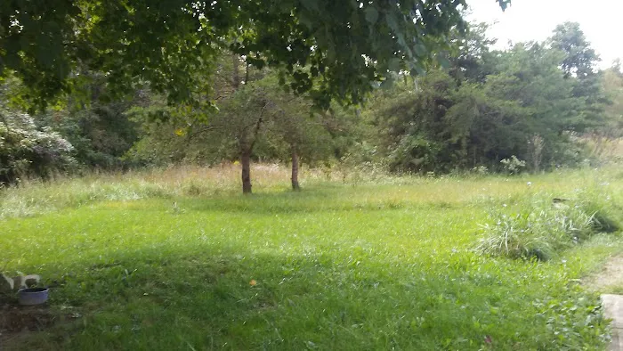 Vinton Furnace State Forest Hunters Camp Picture 3