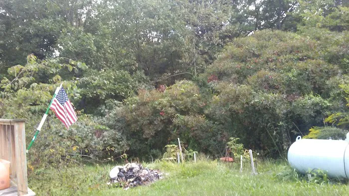 Vinton Furnace State Forest Hunters Camp Picture 2