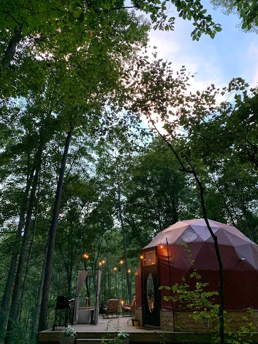 Rooted Domes Picture 8