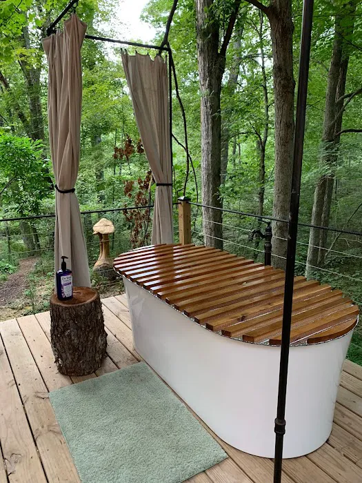 Rooted Domes Picture 5