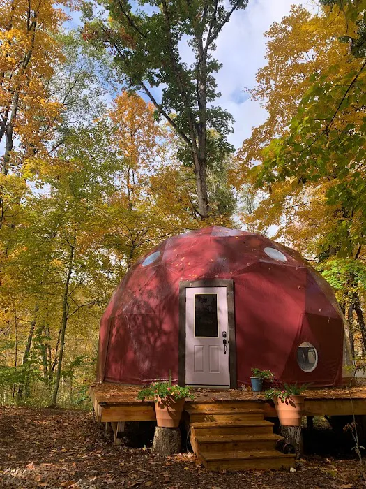 Rooted Domes Picture 4