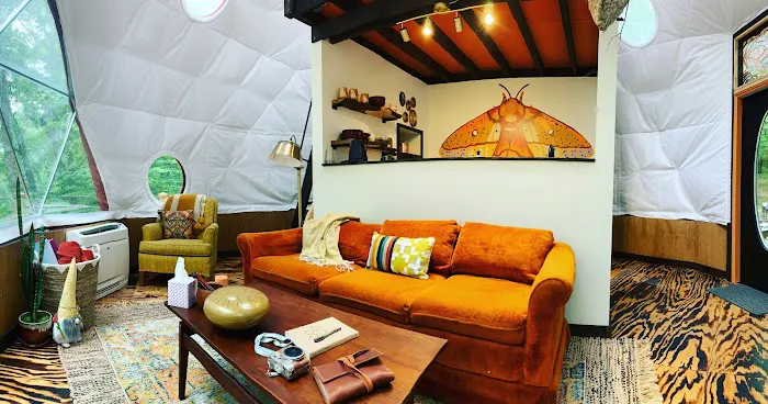 Rooted Domes Picture 7