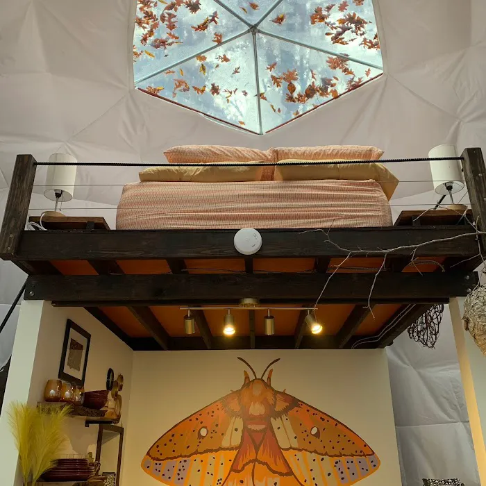 Rooted Domes Picture 9