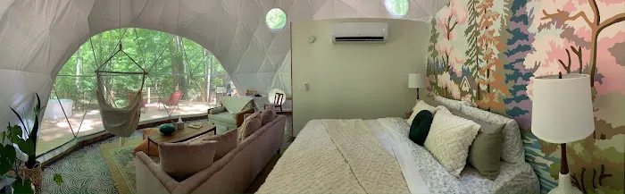 Rooted Domes Picture 1