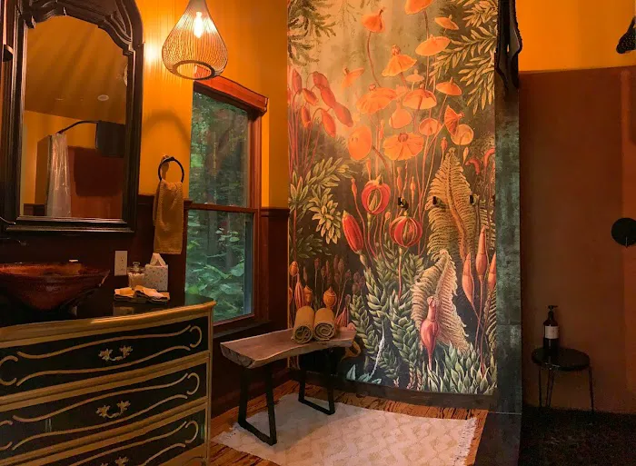 Rooted Domes Picture 6