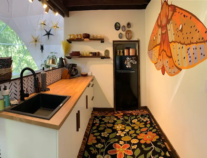 Rooted Domes Picture 2