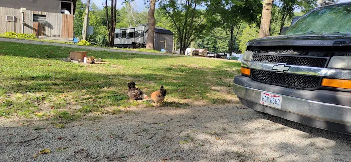 Williams Campground Picture 2