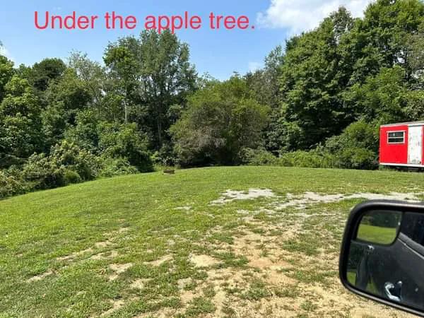 Williams Campground Picture 7