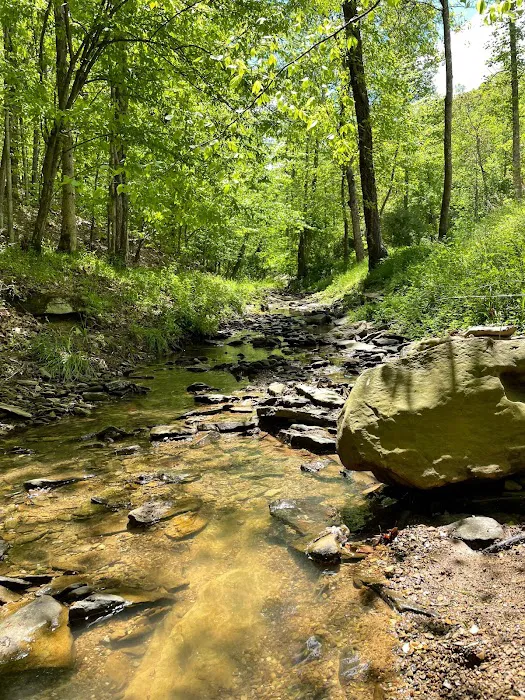 Lazy K's Campground and Canoe Livery Picture 7