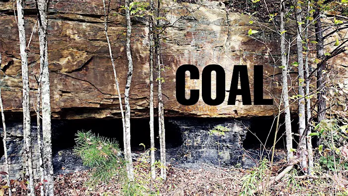 Quick Accommodations, Tours & More Picture 1