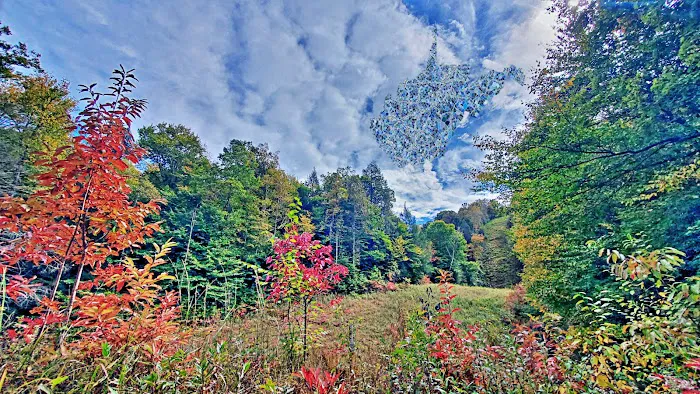 Quick Accommodations, Tours & More Picture 5