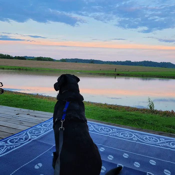 Shady Waters Campground Picture 3