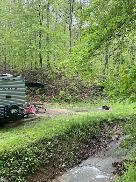 Lake Alma State Park Campground Picture 6