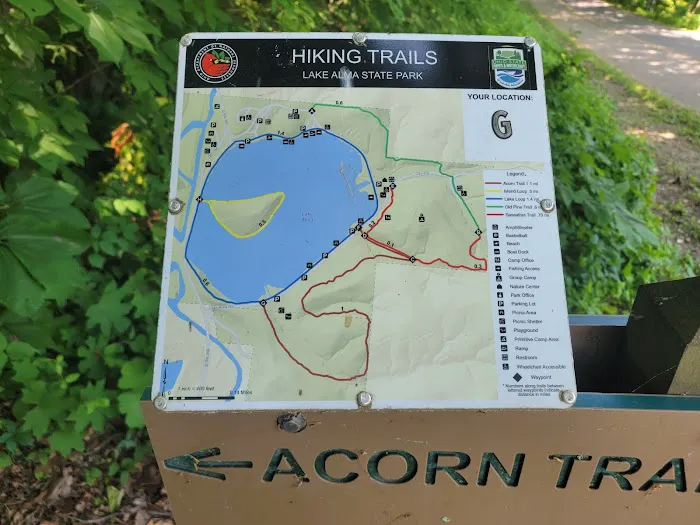 Lake Alma State Park Campground Picture 7