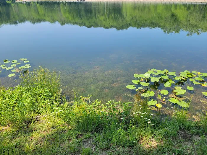 Lake Alma State Park Campground Picture 2