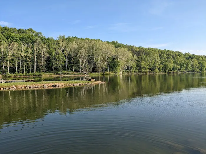 Lake Alma State Park Campground Picture 10