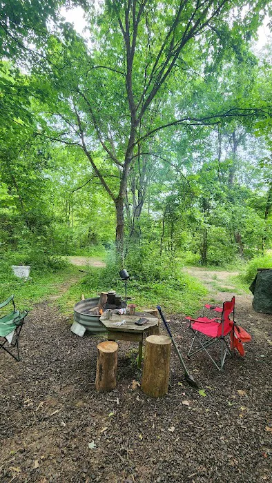 Trothwood Forest Picture 10