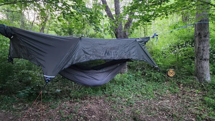 Trothwood Forest Picture 6