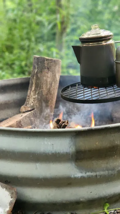 Trothwood Forest Picture 5