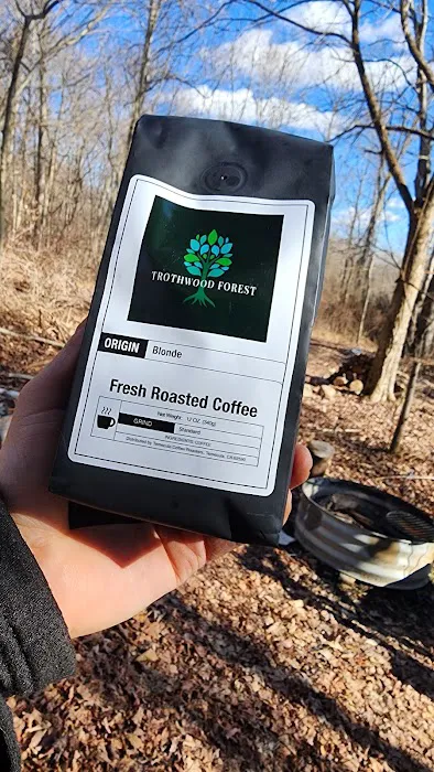 Trothwood Forest Picture 2