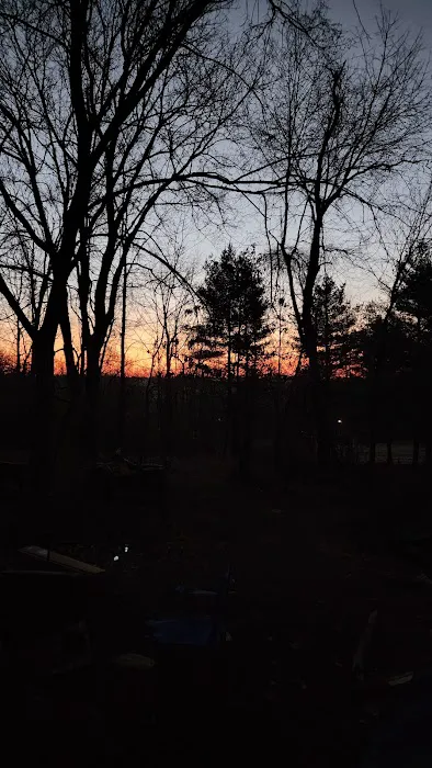 Trothwood Forest Picture 4