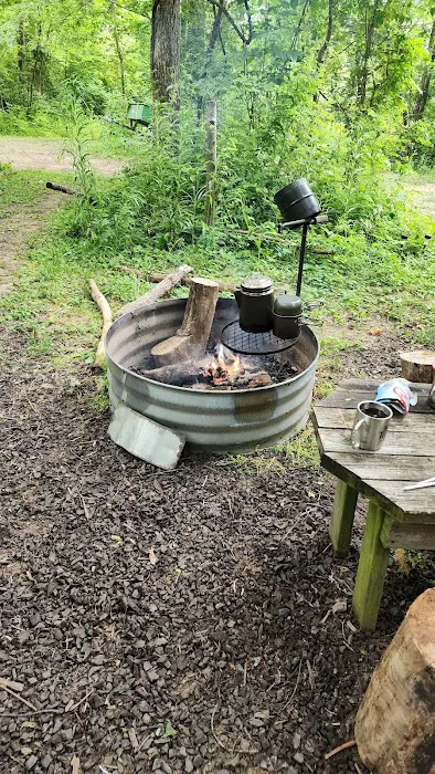 Trothwood Forest Picture 3