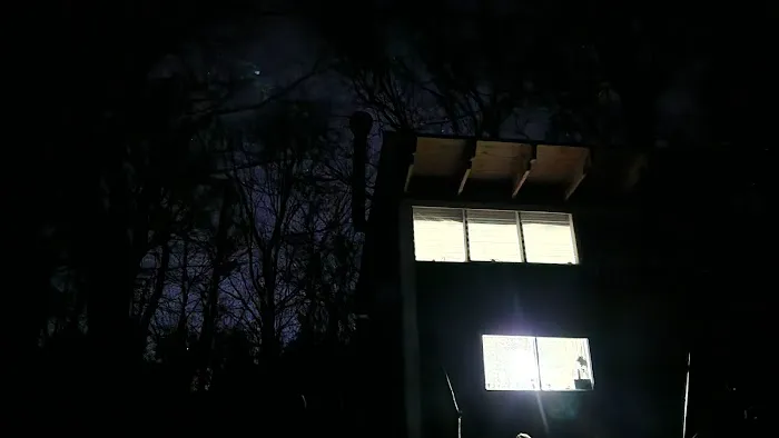 Trothwood Forest Picture 1