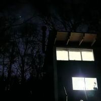 Trothwood Forest ico