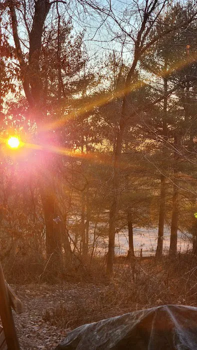 Trothwood Forest Picture 7