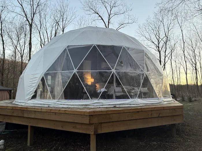 Bunny Bungalow Picture 5