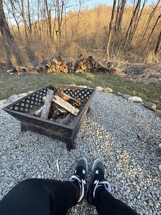 Bunny Bungalow Picture 4