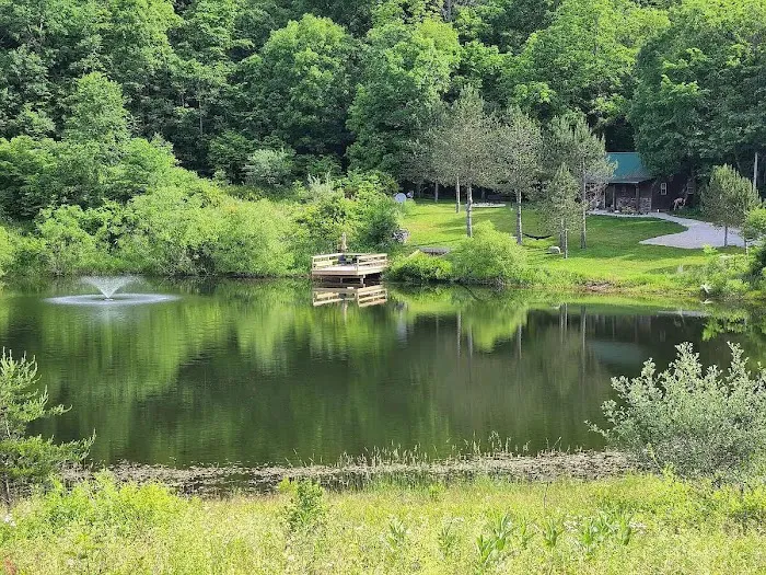 Deer Haven Cabin Picture 2